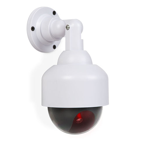 Elemes álkamera (villogó LED jelzéssel) dome design