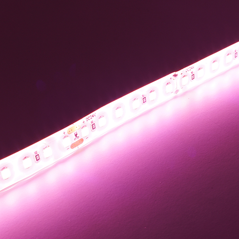 LED szalag kültéri 2835-120 (24 Volt) - húsok megvilágítására Kifutó!