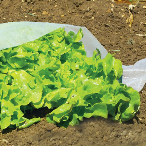 Kertészeti fátyolfólia Climatic, 17 g/m2, fehér színű (160 cm x 100 méter)