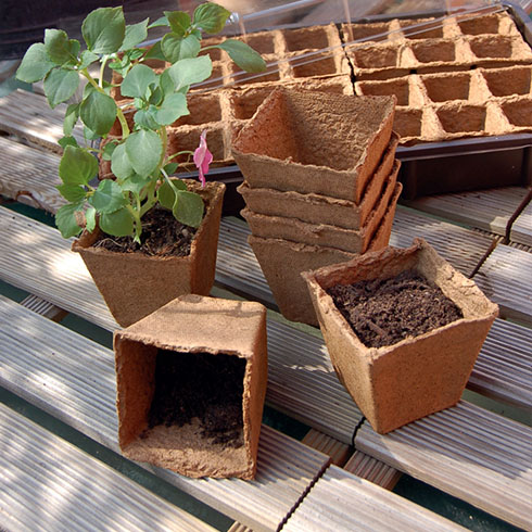 Growing Pots 6x6 cm-es tőzegcserép (20 db)