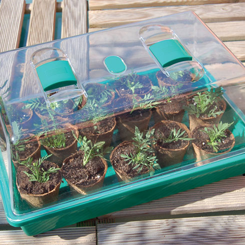 Growing Rapid Mini üvegház palántáknak, türkiz