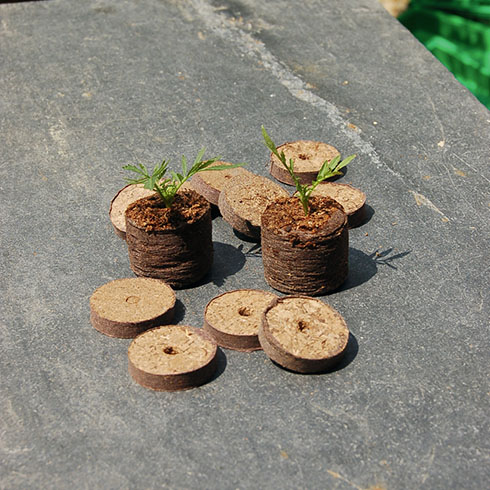 Growing Turba 4 cm-es szárított tőzegtabletta, gyors csíráztatáshoz (25 db)