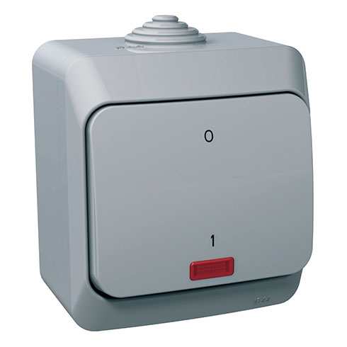 Cedar Plus kétpólusú kapcsoló, jelzőfénnyel (102) IP44, szürke