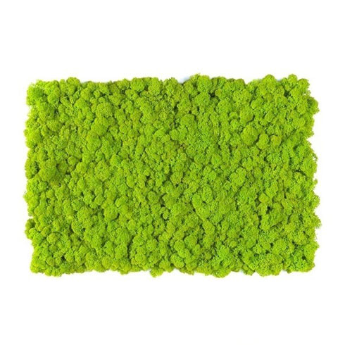 Zuzmópanel (60 x 40 cm) flexibilis lapon