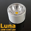 LED lámpatest Luna falon kívüli (10W) - hideg fényű
