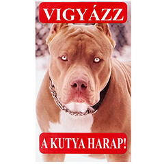 Vigyázz, a kutya harap! PVC tábla (25x15 cm), Pitbull