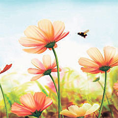 Nyomtatott konyhai hátfal, konyhapanel ütésálló és hőálló ABS anyagból, 300x60 cm - Bees Méhecske