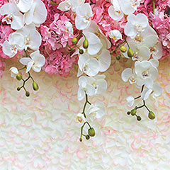 Nyomtatott konyhai hátfal, konyhapanel ütésálló és hőálló ABS anyagból, 295x60 cm - Bloomy orchids Virágzó orchidea
