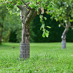 Tree Trunk fatörzsvédő, 36 x 18,5 cm, szürke