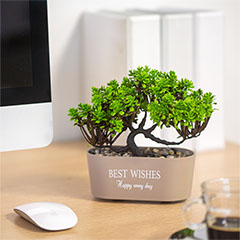 Műnövény dekoráció - bonsai, zöld (19x13cm)
