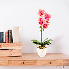Műnövény dekoráció - cserepes orchidea, rózsaszín (48 cm)