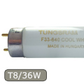 GE T8 Standard fénycső 36W (9.000h)