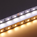 LED szalag beltéri 3528-60 (24 Volt) - CCT változtatható színhőm. Kifutó!