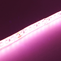 LED szalag kültéri 2835-120 (24 Volt) - húsok megvilágítására Kifutó!