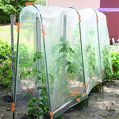 Kertészeti fólia paradicsom neveléshez, Tomato Film, 70 mikron vastag PE (3x3.5m)
