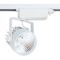 Sínes COB LED lámpa (1F) - 25W (24°) meleg fehér