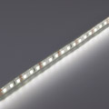 LED szalag kültéri 3528-120 (12 Volt) - hideg fehér DEKOR! 5 méter