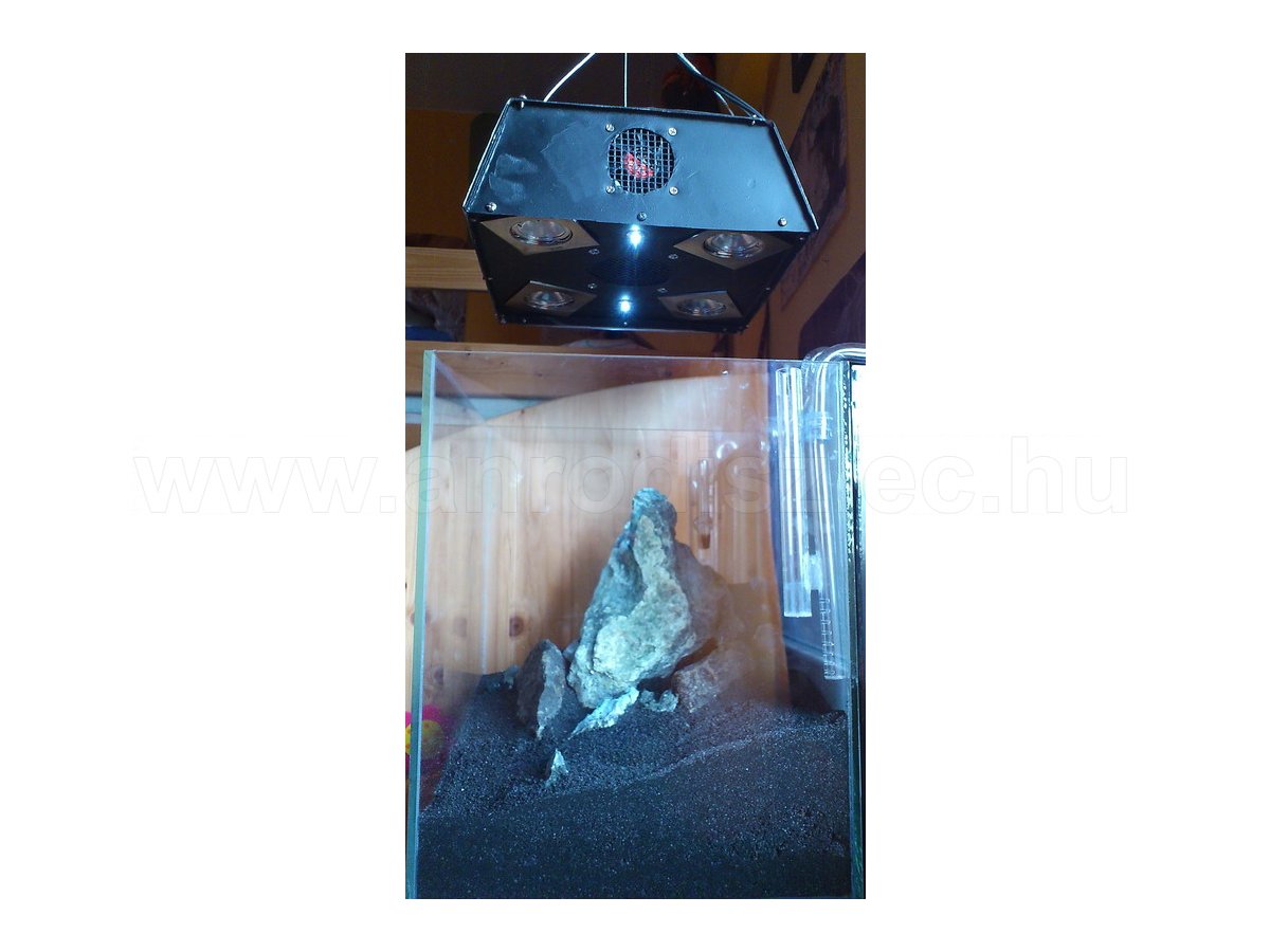 Homokos terrárium egyedi spot lámpás LED világítással