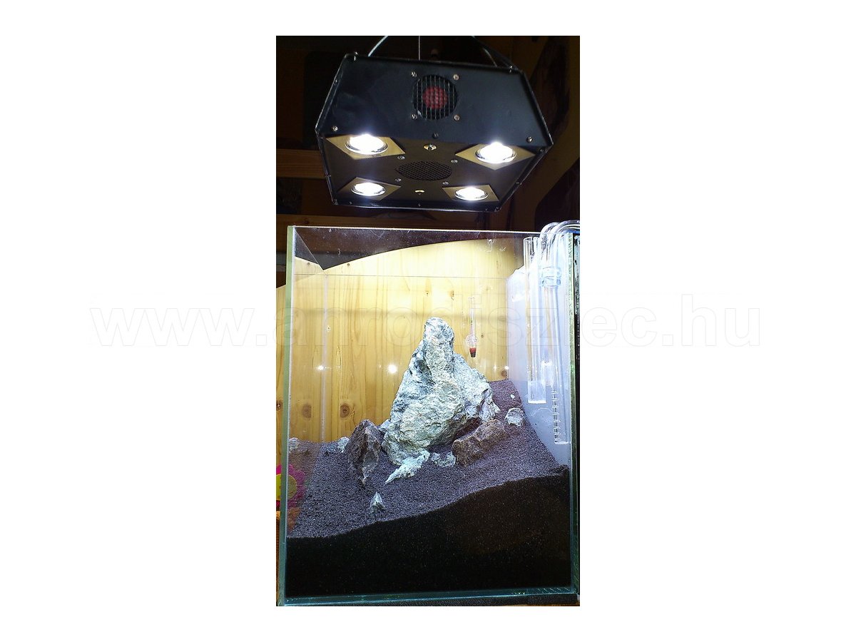 Terrárium világítás LED spotlámvával, házilag összeszerelve