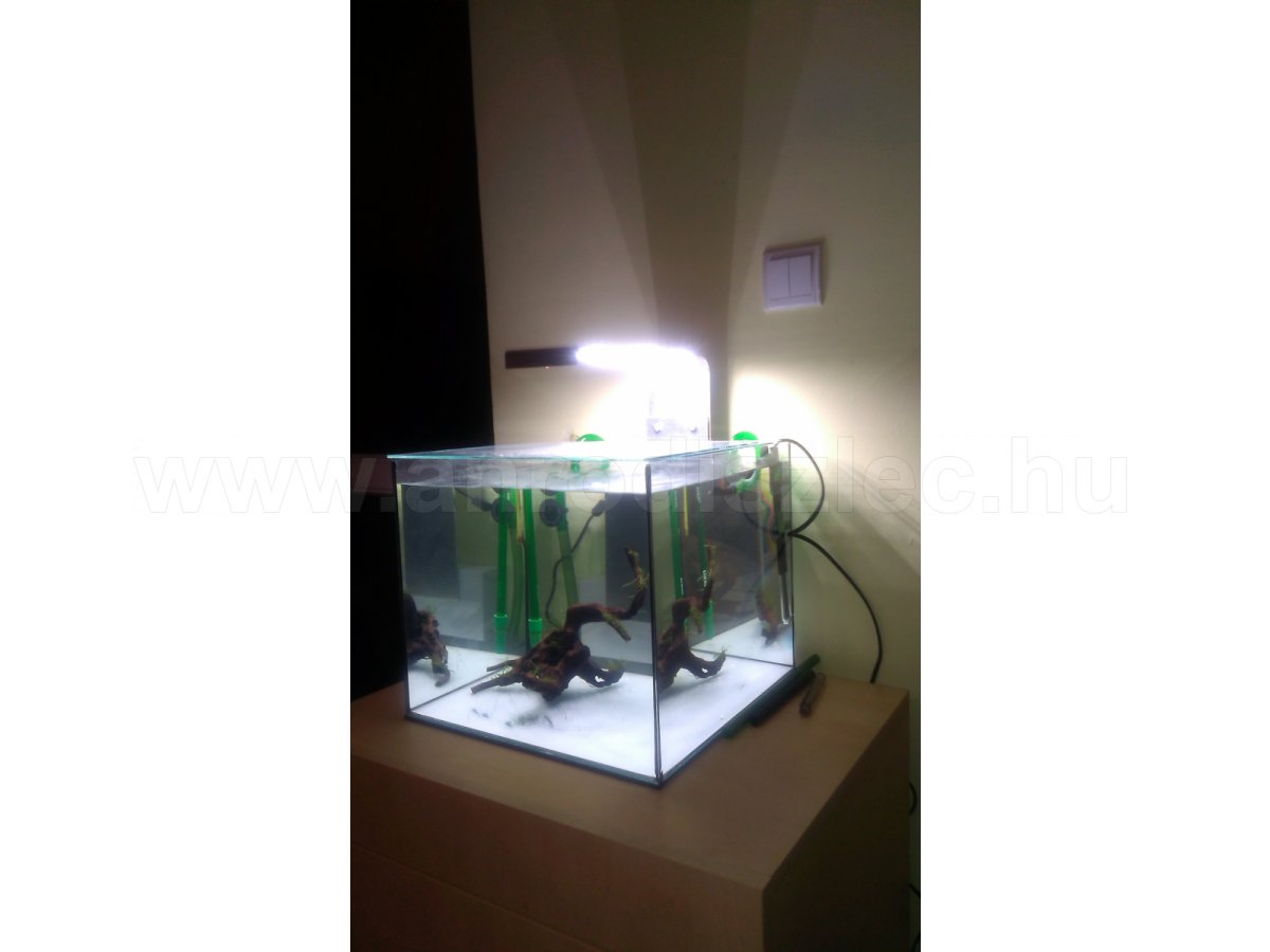 Garnélás akvárium DIY világítás