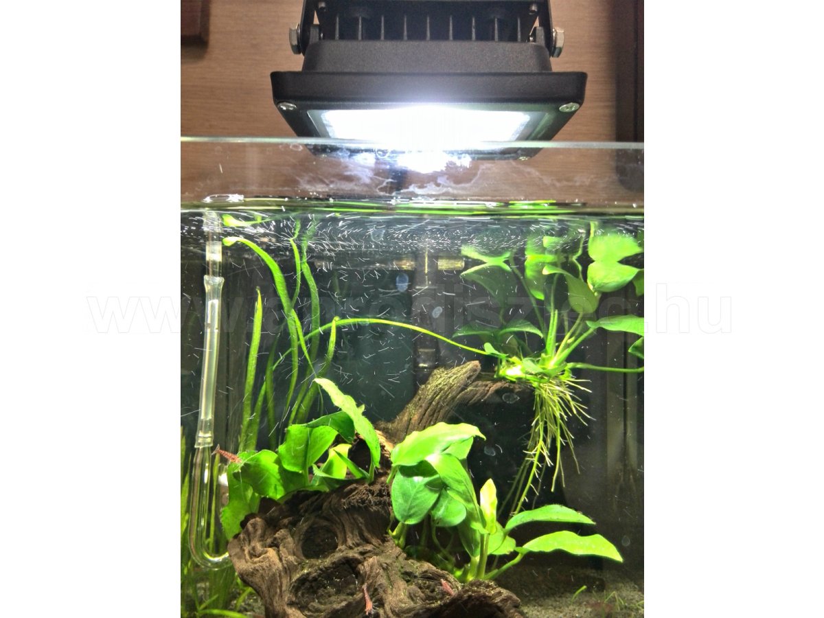Hideg fehér fény az akváriumnak - vízálló led reflektor fölé lógatva