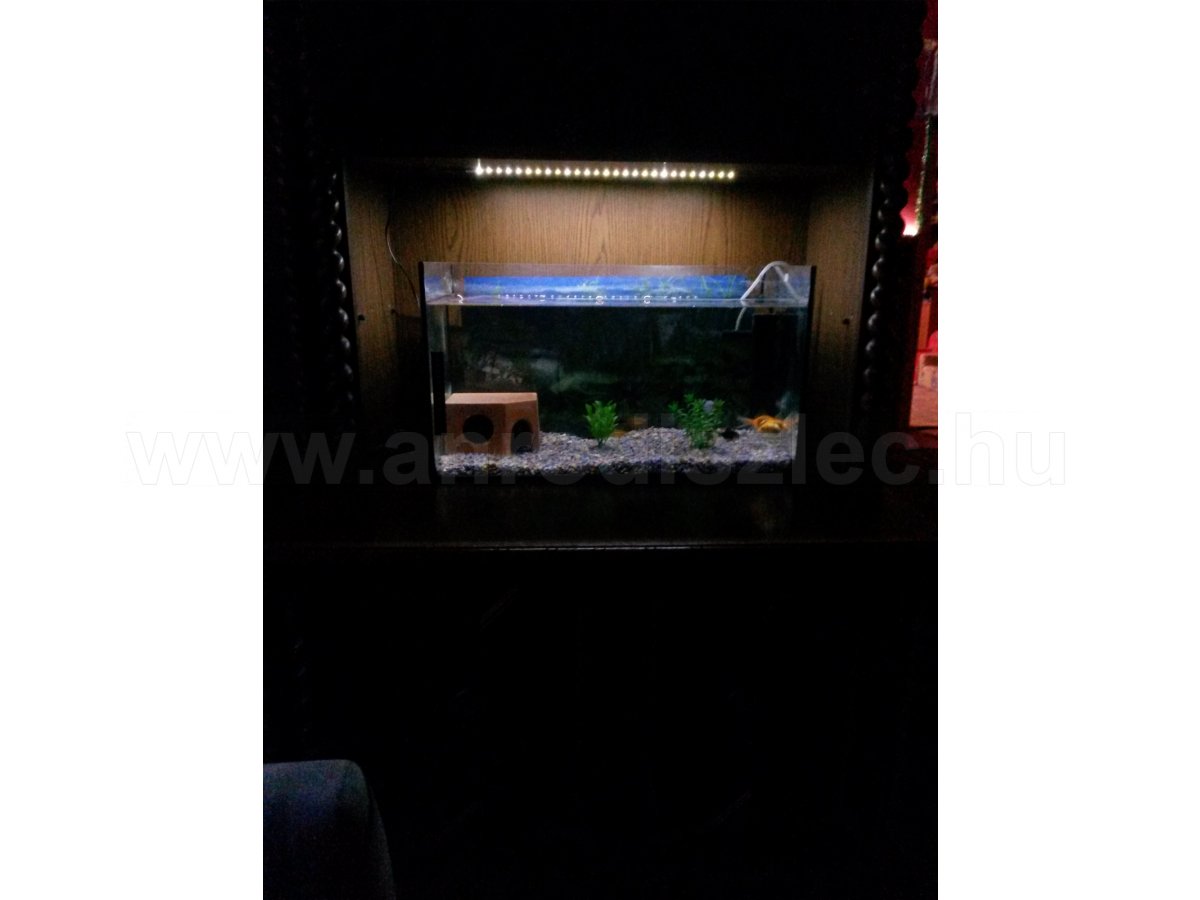 Némi LED csík az akvárium megvilágítására is jutott!