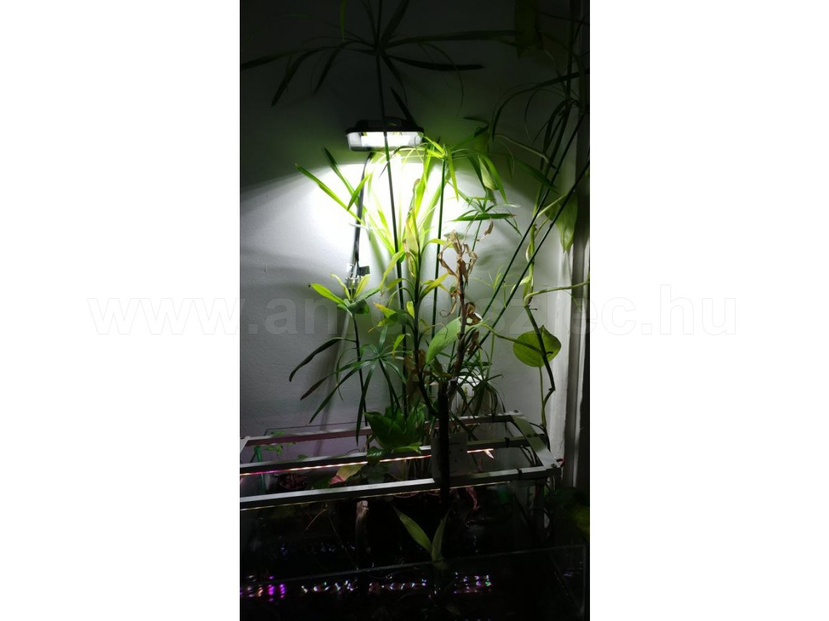 LED reflektor az akvárium fölött