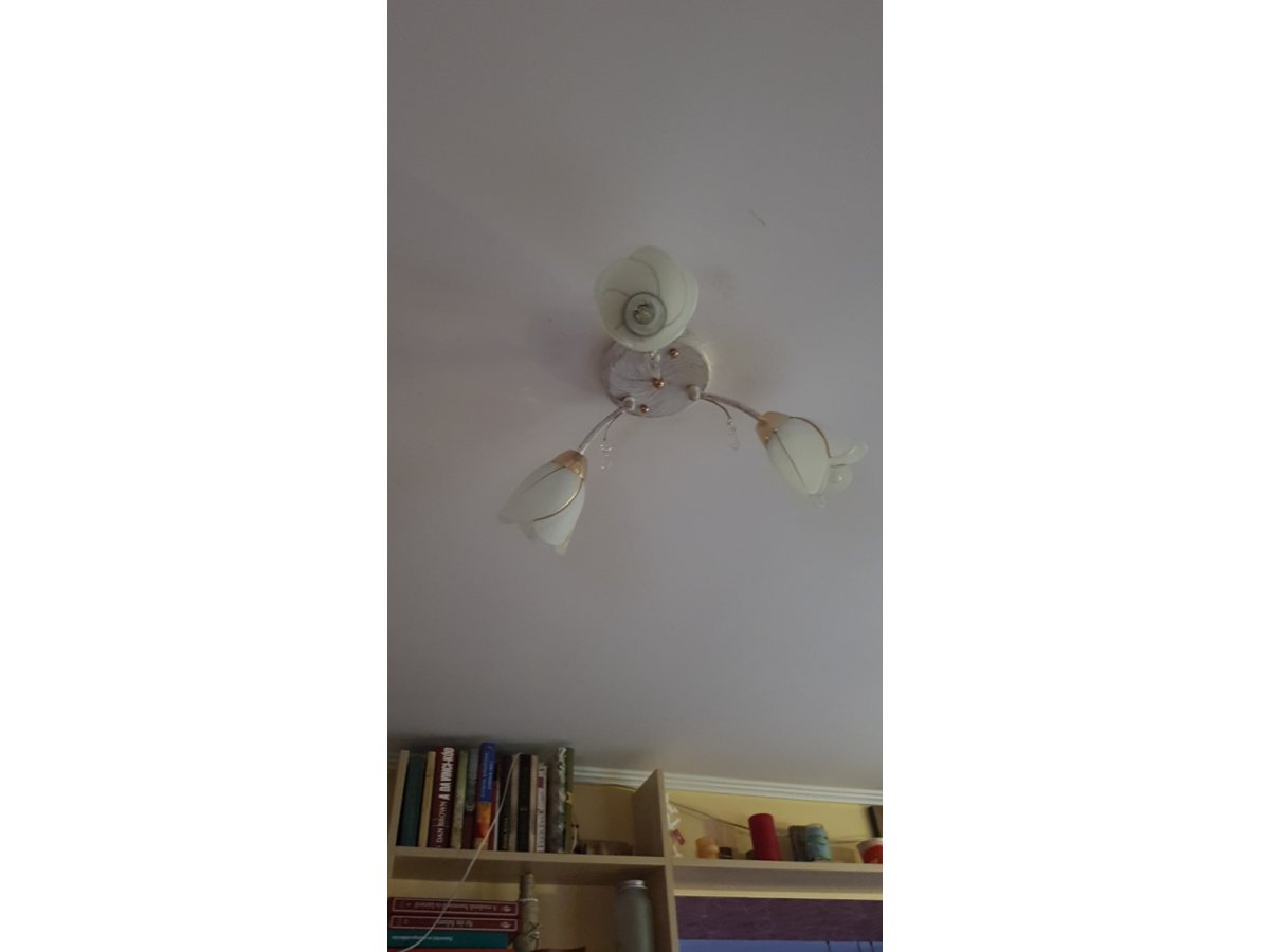 Gyönyörűséges tulipános bejárati lámpám