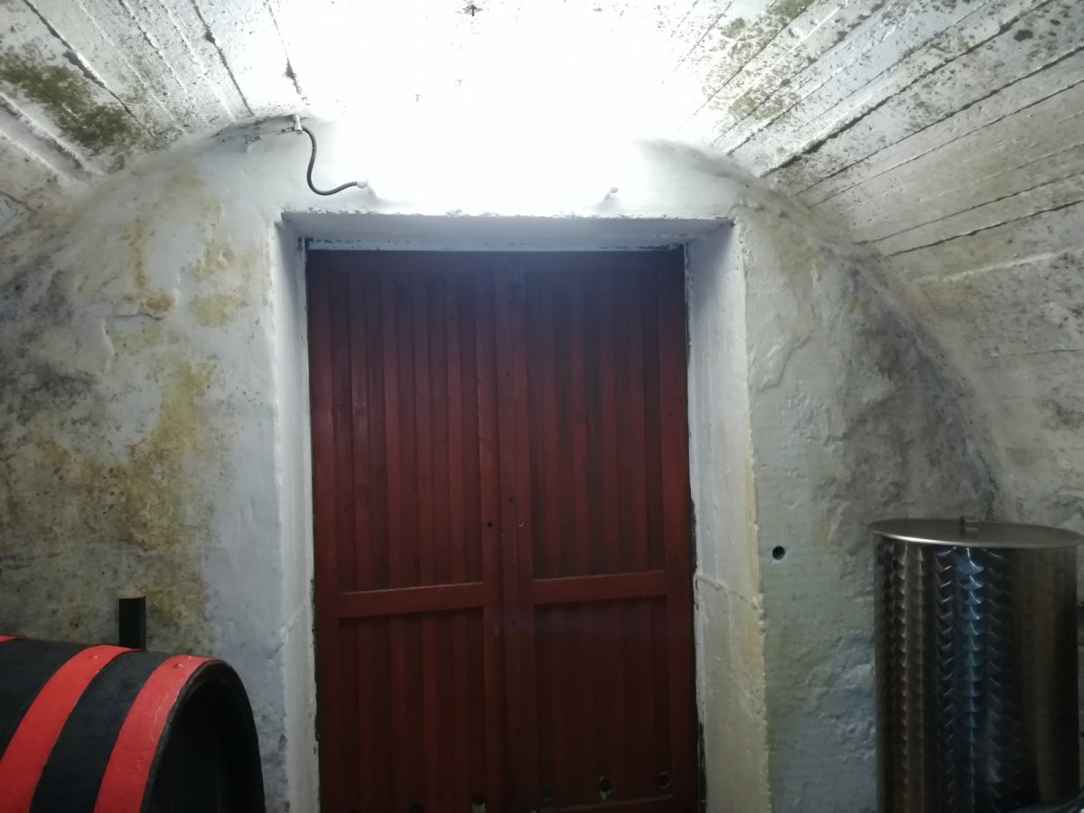 V-TAC por és páramntes LED lámpatest kiváló fényereje a borospincében. 