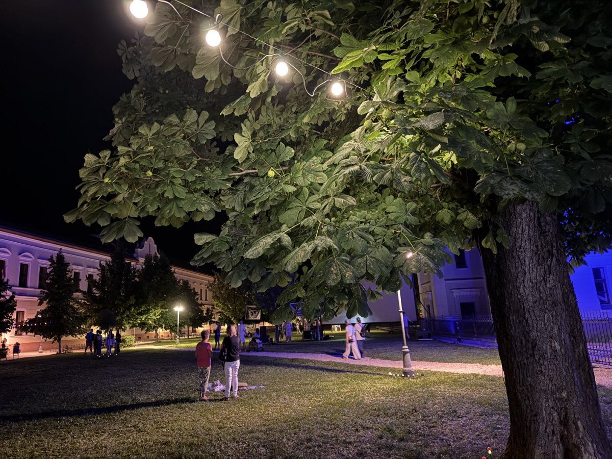 Fára akasztott hangulatfények: 1 Wattos LED izzós fényfüzér melegfehér kivitelben