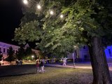 Fára akasztott hangulatfények: 1 Wattos LED izzós fényfüzér melegfehér kivitelben